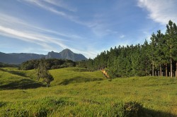 Serra do Corvo Branco