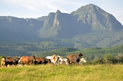 Serra do Corvo Branco