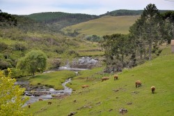 Serra do Corvo Branco